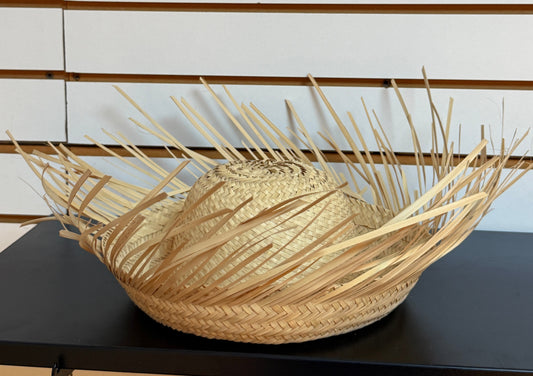 Pava Tipica Niño